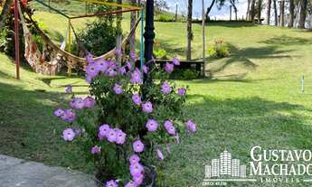 Imagem 7: Sítio - Arrozal