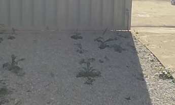 Imagem 4: 2 dormitórios na Rua Antônio Benjamin Alves