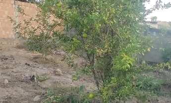 Imagem 3: 360M² de Área Total na Rua Sebastião Costa Paz