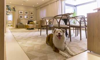 Imagem 7: Monumento Morumbi 3 Dormitórios c/ Suíte