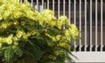 Imagem: Apartamentos e Stúdios Alto da Boa Vista