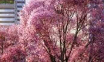 Imagem: Parque Global Apartamentos 4 Dormitórios