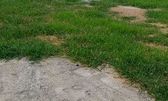 Imagem 3: SITIO RURAL em Guararema - SP, Freguesia da Escada