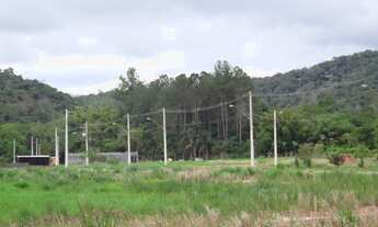 Imagem 6: TERRENO RESIDENCIAL em GUARAREMA - SP, Paião