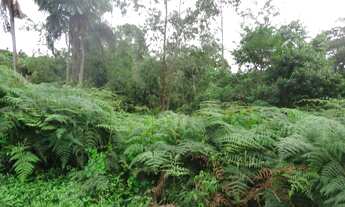 Imagem 2: TERRENO RESIDENCIAL em Santa Branca - SP, Serrote