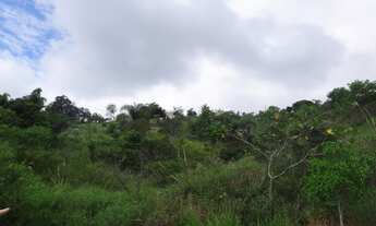 Imagem 6: TERRENO RESIDENCIAL em GUARAREMA - SP, Nogueira