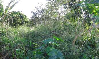 Imagem: TERRENO RESIDENCIAL em GUARAREMA - SP, Jd