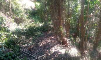 Imagem 7: TERRENO RESIDENCIAL em Santa Branca - SP, Serrote