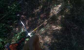 Imagem 4: TERRENO RESIDENCIAL em Santa Branca - SP, Serrote