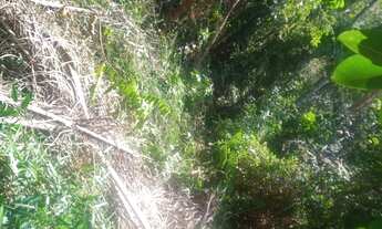 Imagem 6: TERRENO RESIDENCIAL em Santa Branca - SP, Serrote