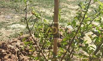 Imagem 7: CASA RESIDENCIAL em SALTO - SP, BURU