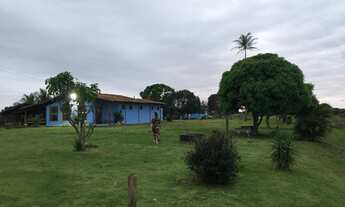 Imagem: Propriedade a venda com mais de 10 alqueires