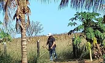 Imagem 2: CHACARA RURAL em NOVA MUTUM - MT, chácara