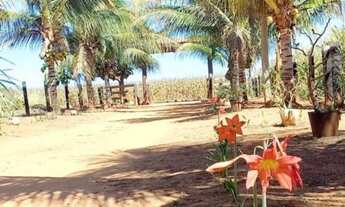 Imagem 5: CHACARA RURAL em NOVA MUTUM - MT, chácara