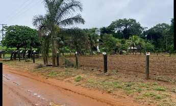 Imagem 4: CHACARA RURAL em NOVA MUTUM - MT, chácara