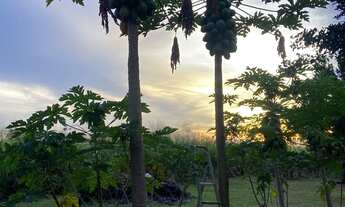 Imagem 3: CHACARA RURAL em NOVA MUTUM - MT, chácara