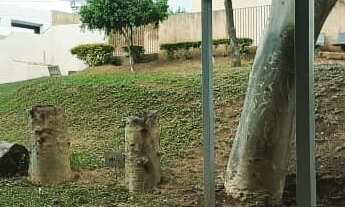 Imagem 5: Apartamento Mobiliado para Locação em Campo Grande no Monte Castelo no Residencial San Fer