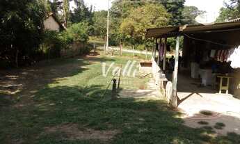 Imagem 6: Chacara Residencial em Santa Bárbara Doeste - SP, Chácara Pinheirinhos