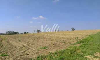 Imagem: Sitio INDUSTRIAL em Limeira - SP, Jardim