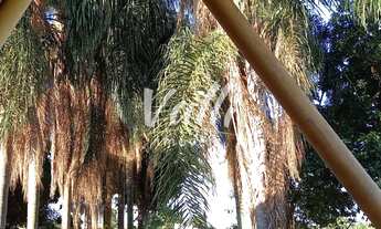 Imagem: CHACARA RESIDENCIAL em Limeira - SP, Santa