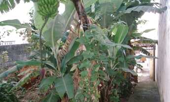 Imagem 4: CASA RESIDENCIAL em SÃO PAULO - SP, VILA LEOPOLDINA