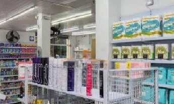 Imagem 7: CASA COMERCIAL em SÃO PAULO - SP, ÁGUA BRANCA