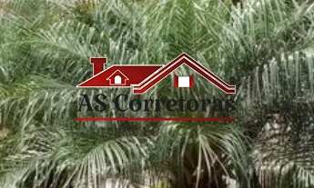 Imagem: Imperdível oportunidade Casa à venda