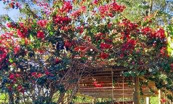 Imagem: Sítio à venda no Centro de Juquitiba-SP