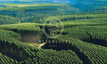 Imagem: Fazendas de Pinus e Serraria no RS