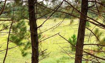 Imagem 4: Área em Cabreúva, interior de São Paulo