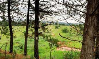 Imagem 7: Área em Cabreúva, interior de São Paulo