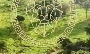 Imagem 7: Oportunidade Fazenda em Cocalinho - MT