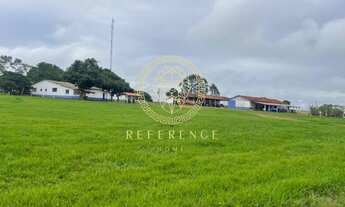 Imagem 2: Fazenda em Araguaína - TO