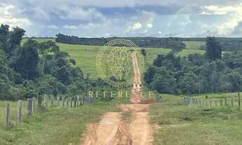 Imagem 4: Fazenda em Araguaína - TO