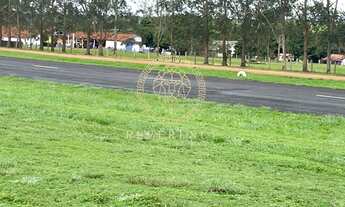 Imagem 6: Fazenda em Araguaína - TO