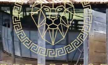 Imagem 4: Oportunidade Fazenda em Cocalinho - MT