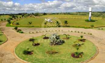 Imagem: Belíssima Fazenda Cinematográfica