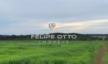 Imagem 6: FAZENDA RURAL em SANTA TEREZINHA - MT, Fazenda a Venda Município Santa Terezinha Mato Gros