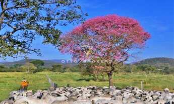Imagem 4: FAZENDA COMERCIAL em ARAPUÃ - MS, MS 459