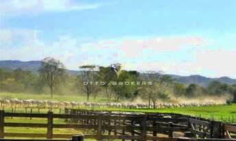 Imagem 5: FAZENDA COMERCIAL em ARAPUÃ - MS, MS 459