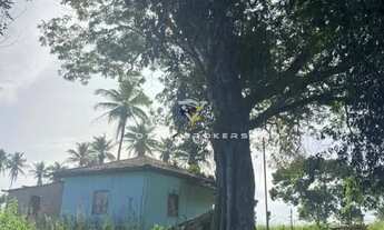 Imagem 3: AREA RURAL em PORTO SEGURO - BA, BA 001