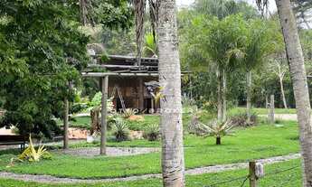 Imagem 3: FAZENDA RESIDENCIAL em PORTO SEGURO - BA, Fazenda/ área próximo ao novo aeroporto de porto