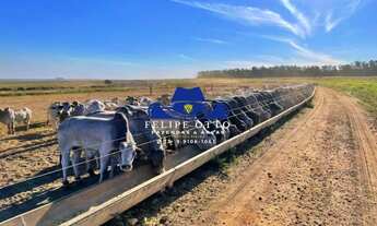 Imagem 2: FAZENDA RURAL em ITIQUIRA - MT, MT 299