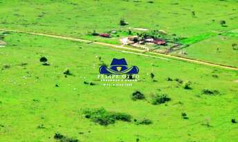 Imagem 4: FAZENDA RURAL em RONDOLÂNDIA - MT, MT 313