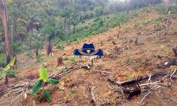 Imagem: FAZENDA RURAL em TAPEROÁ - BA, BA 544