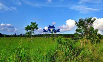 Imagem 2: FAZENDA RURAL em PORTO SEGURO - BA, BR 367