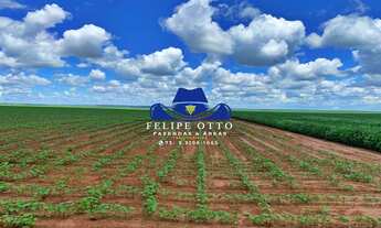 Imagem 3: FAZENDA RURAL em PRIMAVERA DO LESTE - MT, BR 070