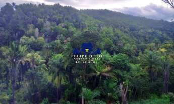 Imagem 2: FAZENDA RURAL em TAPEROÁ - BA, BA 544