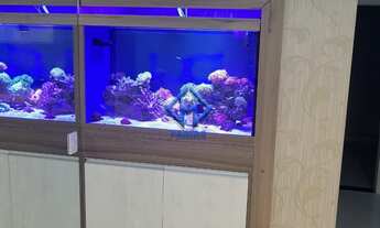 Imagem 5: Encontro Ipiranga 68 m²