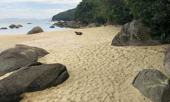 Imagem 5: TERRENO RESIDENCIAL em Bombinhas - SC, Zimbros